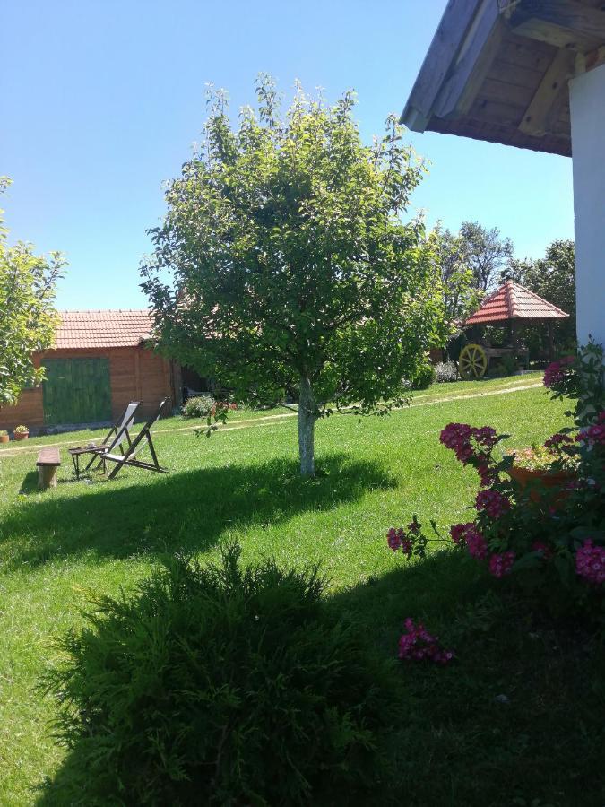 Appartamento Camp Viljamovka Kremna Esterno foto