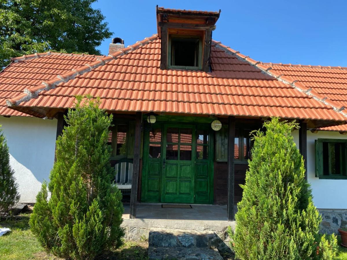 Appartamento Camp Viljamovka Kremna Esterno foto