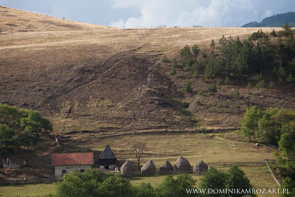 Appartamento Camp Viljamovka Kremna Esterno foto