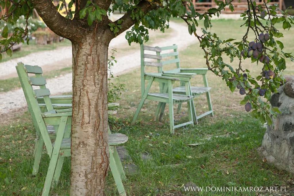 Appartamento Camp Viljamovka Kremna Esterno foto