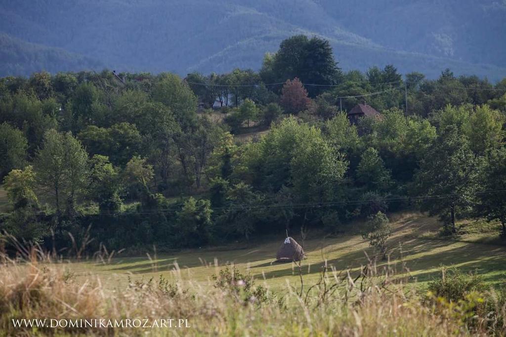 Appartamento Camp Viljamovka Kremna Esterno foto