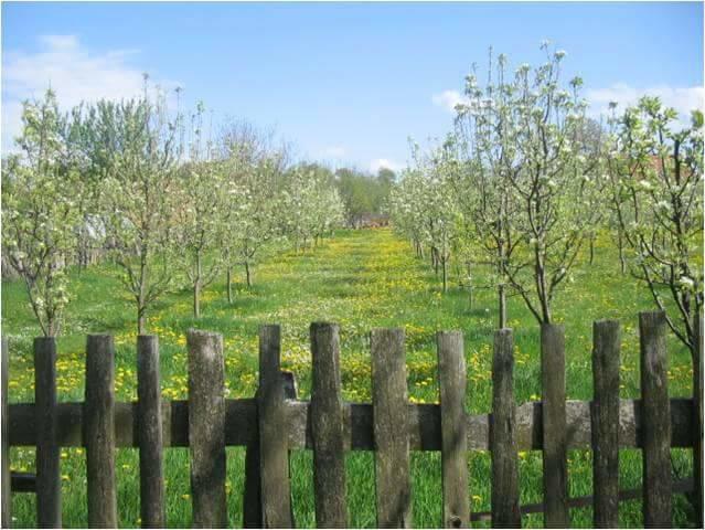 Appartamento Camp Viljamovka Kremna Esterno foto