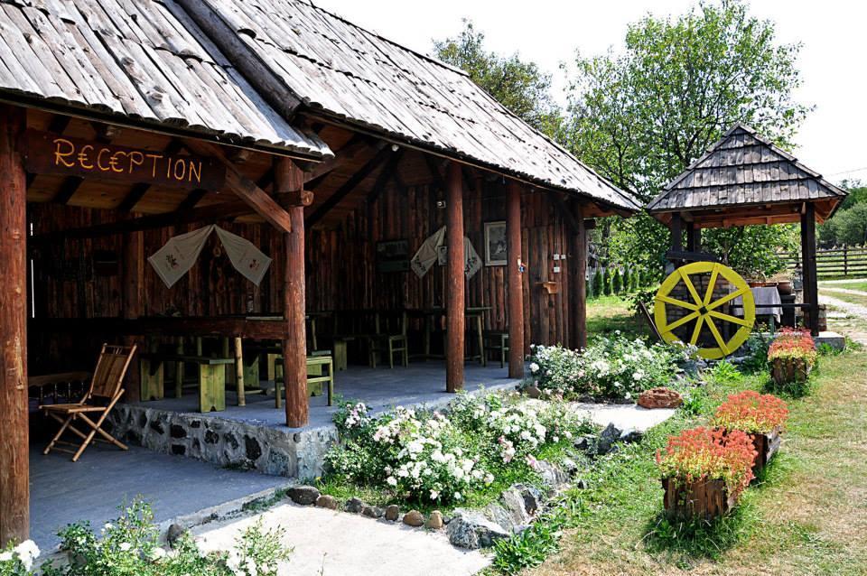 Appartamento Camp Viljamovka Kremna Esterno foto