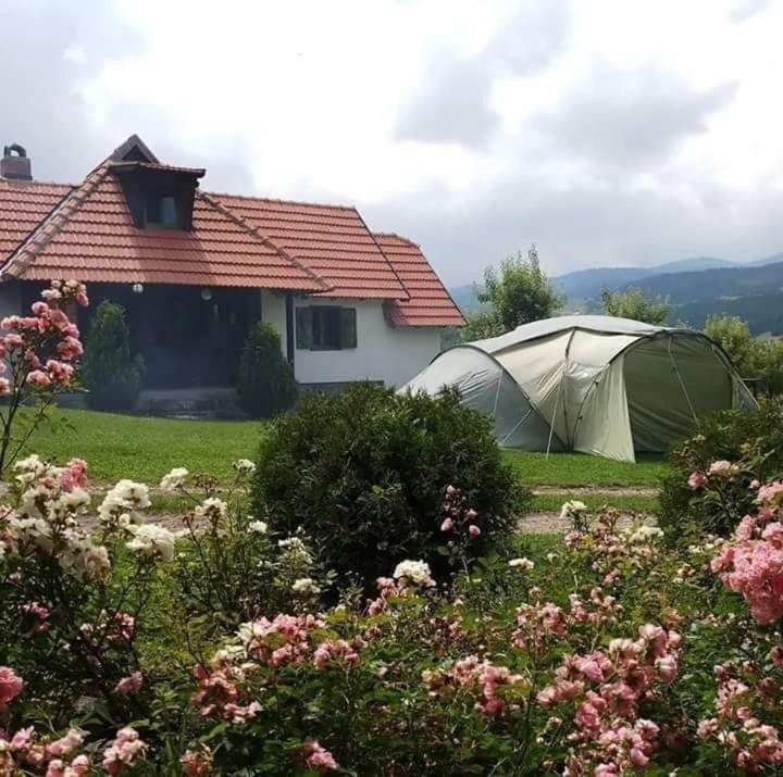 Appartamento Camp Viljamovka Kremna Esterno foto